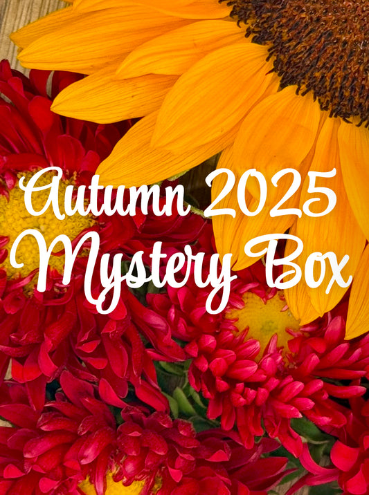 Mystery Box